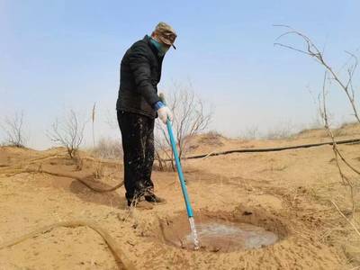 持续一小步，迈向绿色未来 每日黑巧以“巧护地球”引领农副产品销售新篇章