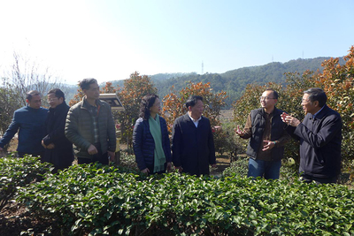 福建省台联赴漳州调研两岸融合发展工作，聚焦农副产品销售新路径